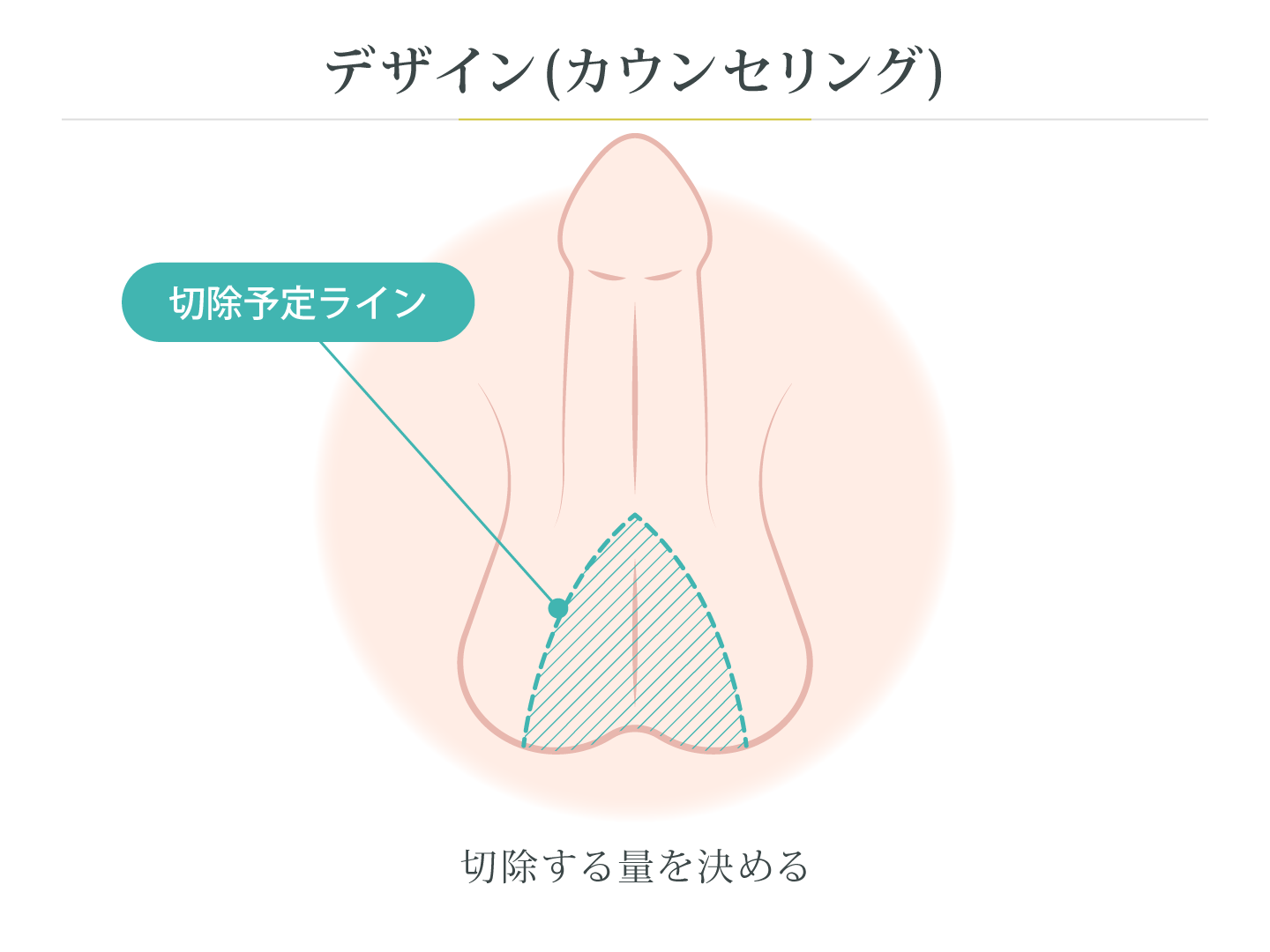 illustration_デザイン（カウンセリング）