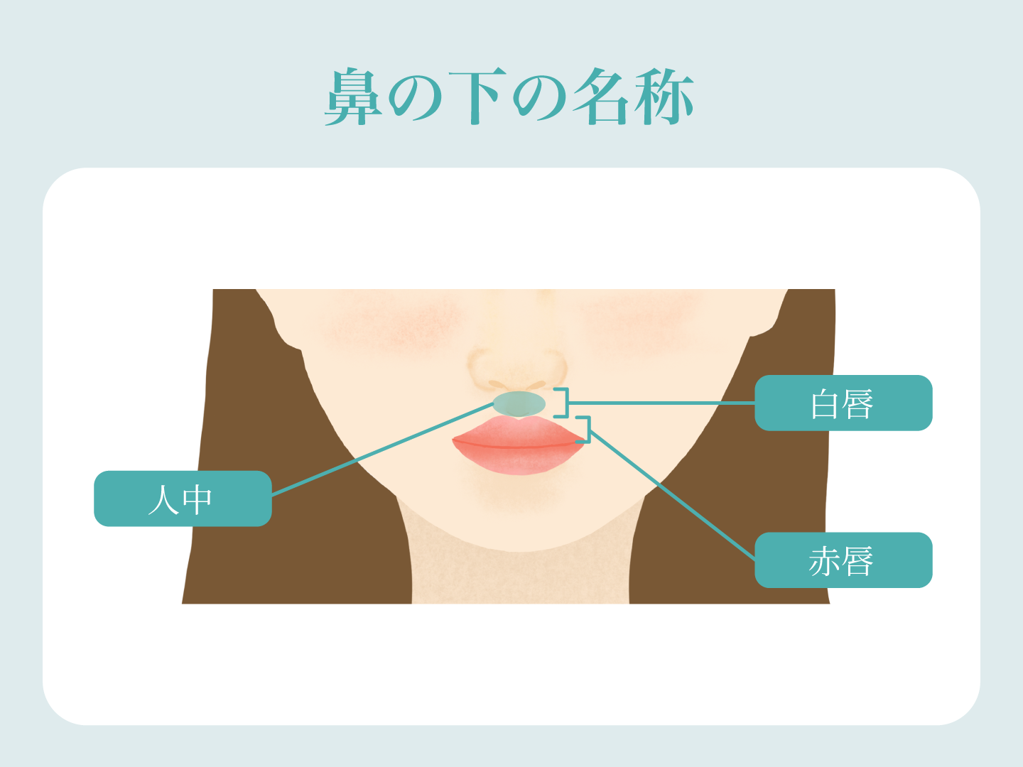 鼻の下の名称