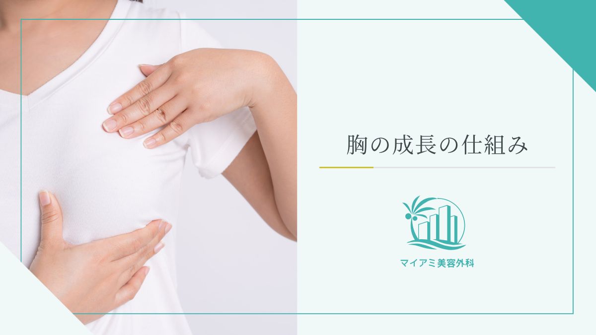 胸の成長の仕組み