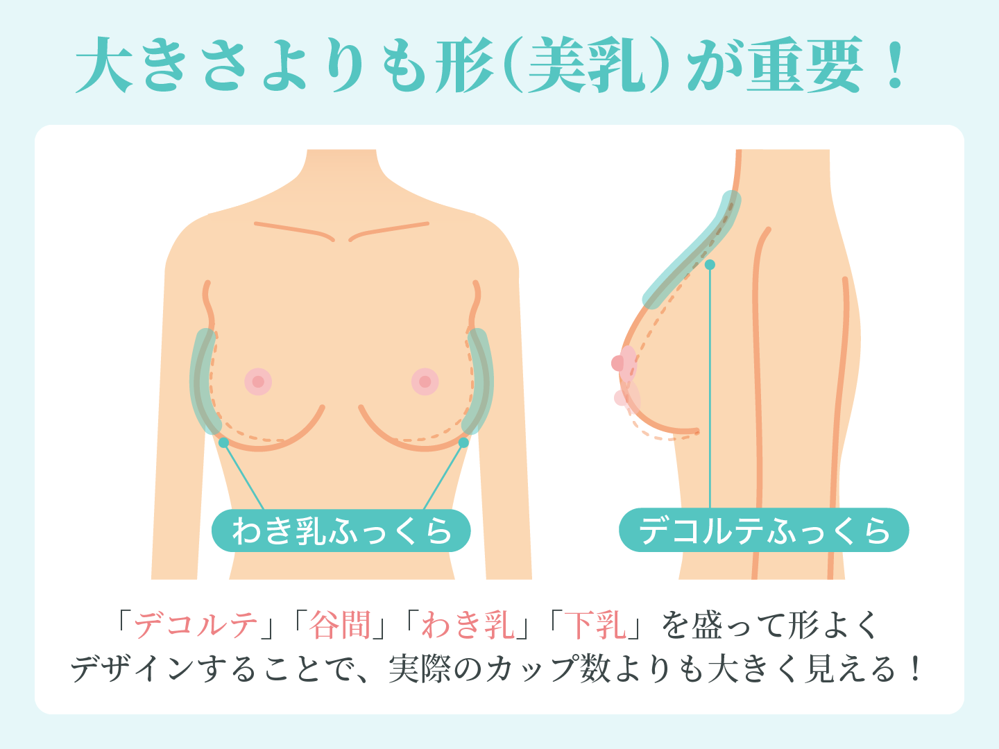 大きさよりも形（美乳）が重要！