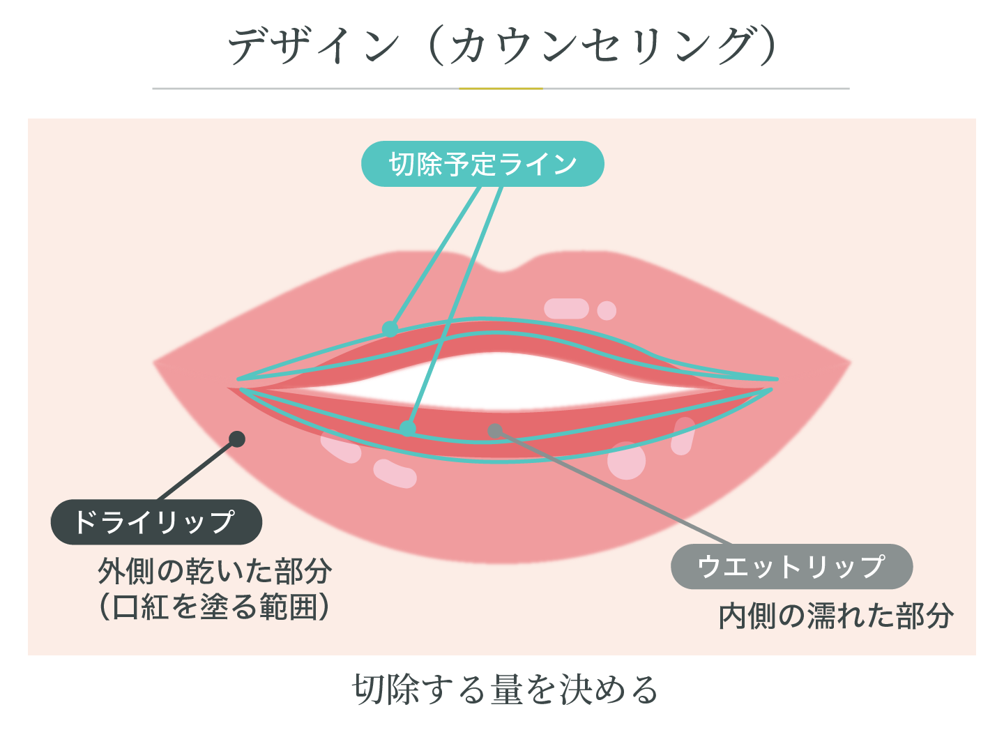 illustration_デザイン（カウンセリング）