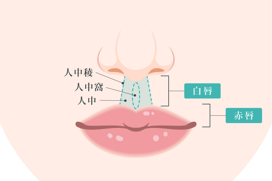 鼻の下の名称